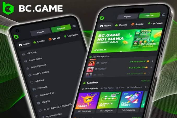 كازينو BC Game الإلكتروني عالم من الترفيه والربح