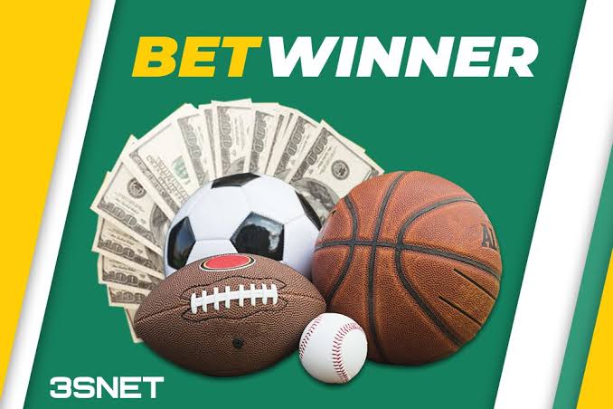 Explore the BetWinner Mobile App Your Gateway to Online Betting